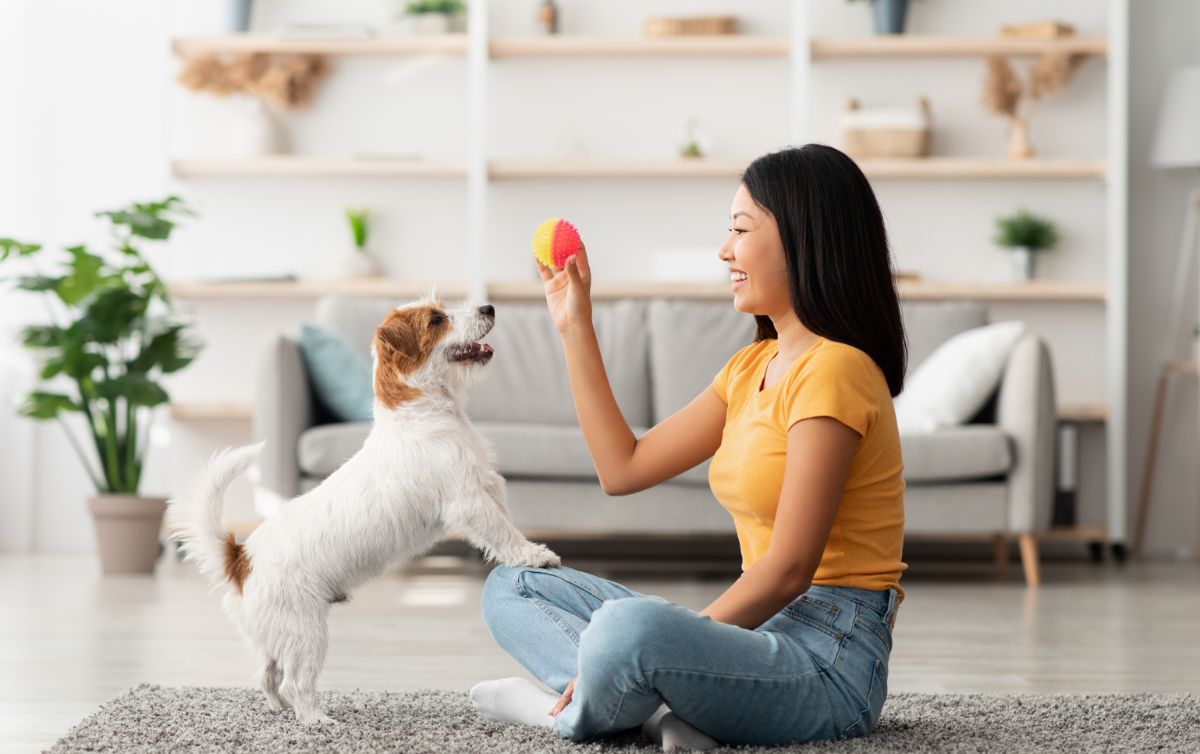 A woman and her dog playing with a ball.